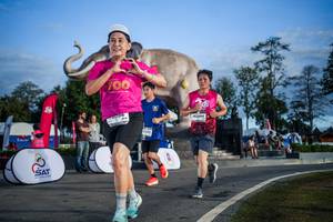 BIB: 
                            <button type="button" onclick="openModal(26541953)" class="btn btn-primary btn-sm float-right btn-popup" data-toggle="modal" data-target=".modal-high-quality">
                        <i class="fas fa-shopping-cart"></i> Add to Cart
                    </button>
                                            <button type="button" onclick="isThisMe(26541953, true)" class="btn btn-success btn-sm float-right btn-popup btn-isme hidden" data-toggle="tooltip" data-placement="bottom" title="นี่คือรูปของคุณใช่ไหม คลิกที่นี่เพื่อเอาเข้าอัลบั้ม">
                        <i class="fas fa-plus"></i> Add to album
                    </button>
                    <button type="button" onclick="isThisMe(26541953, false)" class="btn btn-warning btn-sm float-right btn-popup btn-isnotme hidden">
                        <i class="fas fa-ban"></i> Remove from album
                    </button>